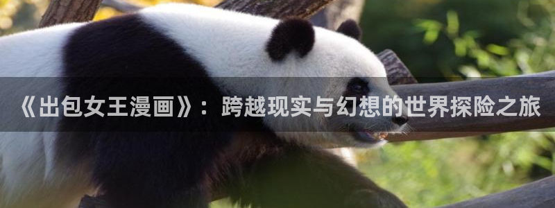 奇漫屋网站