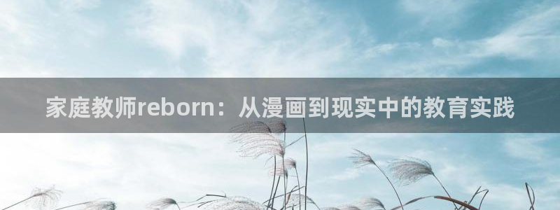 诚信守则漫画下拉式漫画奇漫屋：家庭教师reborn：从漫画到现实中的教育实践