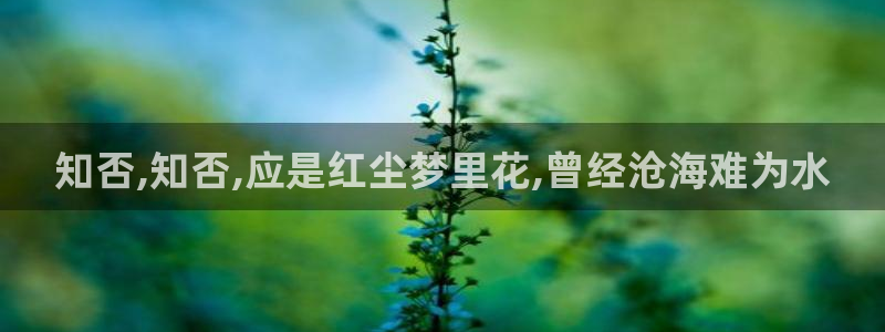 宦妃天下漫画免费下拉式奇漫屋：知否,知否,应是红尘梦里花,曾经沧海难为水
