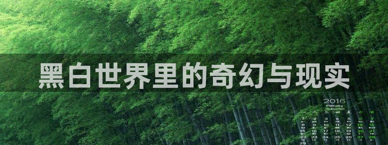 奇漫屋漫：黑白世界里的奇幻与现实