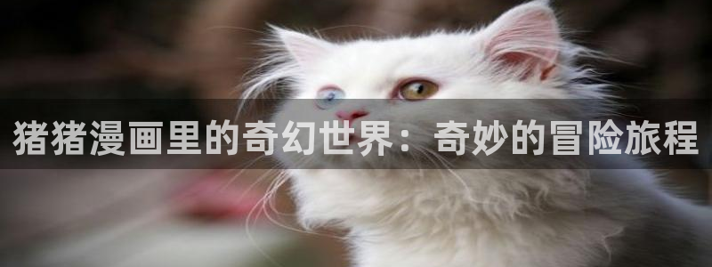 大王饶命漫画下拉式奇漫屋：猪猪漫画里的奇幻世界：奇妙的冒险旅程